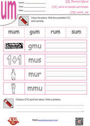 um-cvc-word-scramble-worksheet